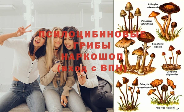 кристаллы Бородино