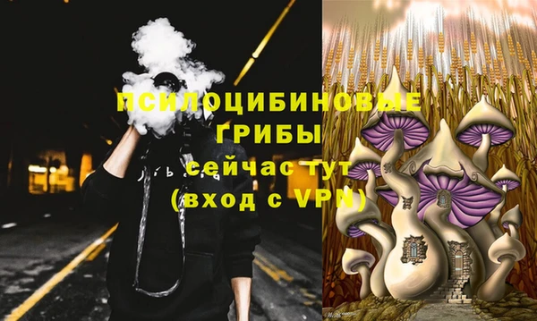 кристаллы Бородино