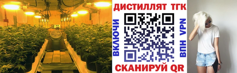 Дистиллят ТГК концентрат  Купить закладки  Котово 