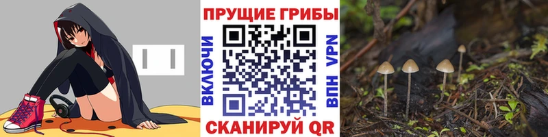 Купить закладки  Котово  Галлюциногенные грибы мицелий 